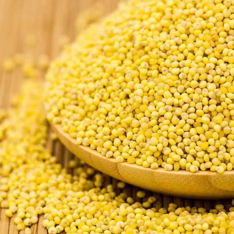 大黄米的功效与作用大黄米怎么做好吃