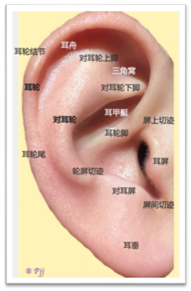 娃娃耳朵长得怪赶紧治