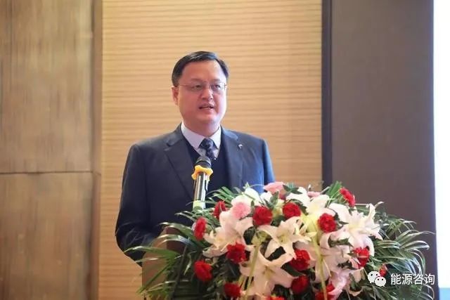中冶节能环保有限责任公司党委书记 彭犇致辞嘉宾:山西建龙实业有限公