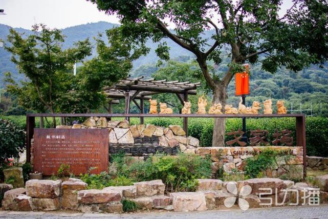 热播剧《完美伴侣》取景!苏州树山村"表里如一"铸就最美乡村