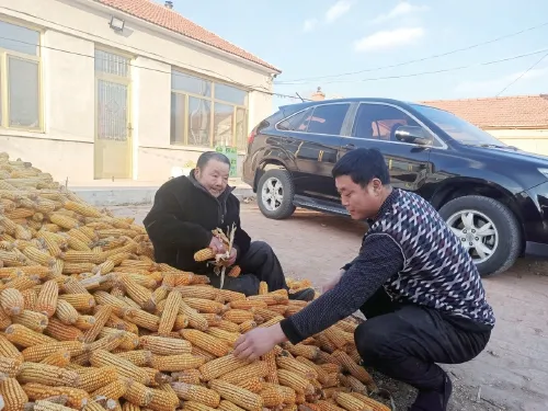 俺家现在也是有房有车了"|马国健|建档立卡贫困户|乡村振兴|二牛所