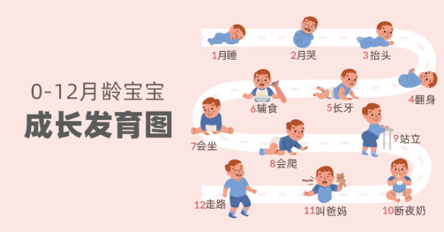 新手爸妈必看012月龄宝宝生长发育图