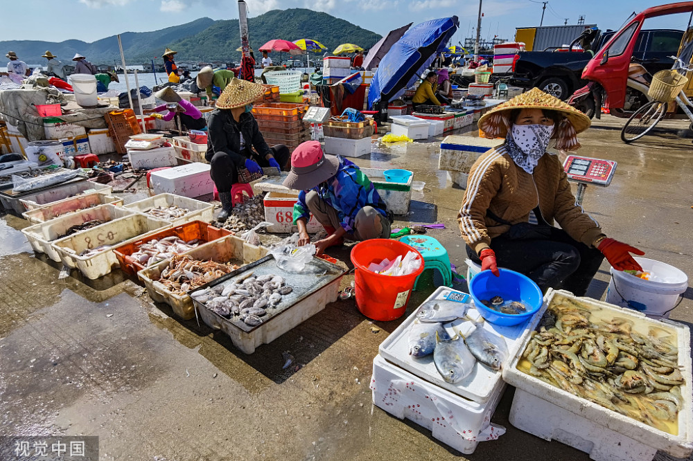 海南陵水新村碼頭海產品豐富市民前來購買迎春節