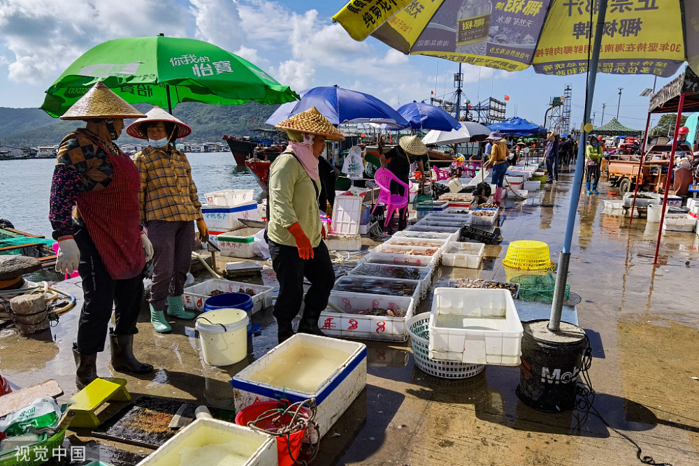 海南陵水新村碼頭海產品豐富市民前來購買迎春節