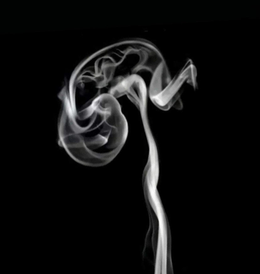 14 years of ghost hunters and evil spirits_What does ghost hunter mean_Is ghost hunter fourteen years real?