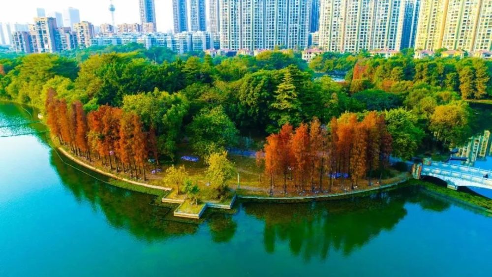 169,806,佛k6,佛k6快线等线路到达"亚艺公园南门站"亚洲艺术公园站