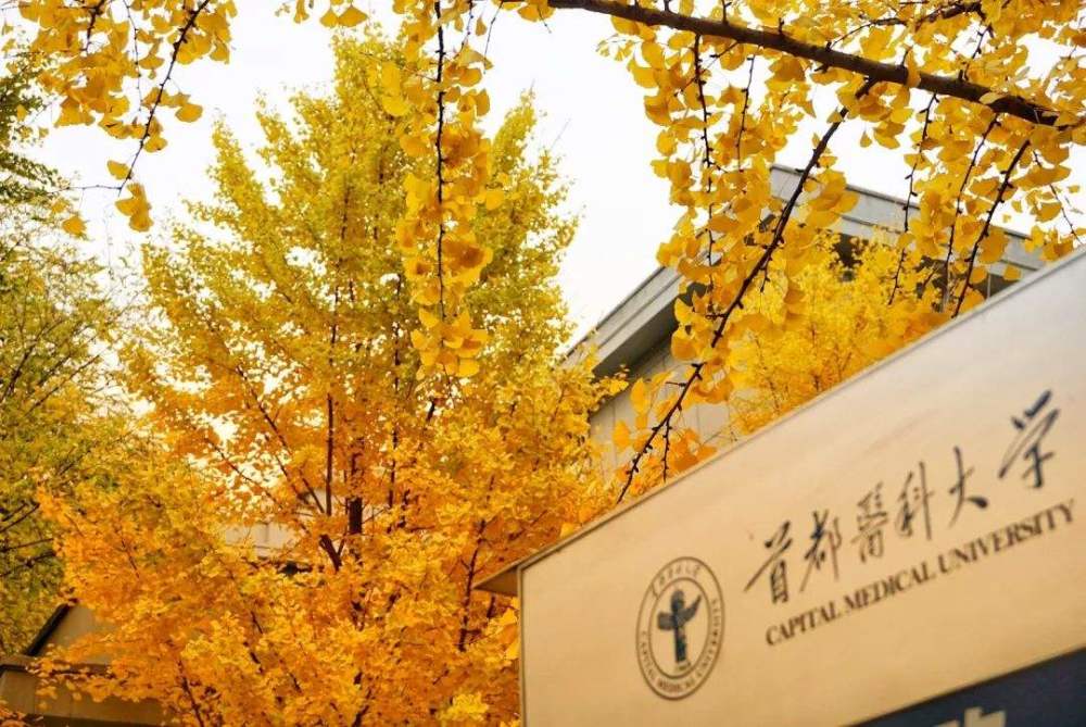 首都医科大学2022年度公开招聘专业技术和管理岗位人员公告