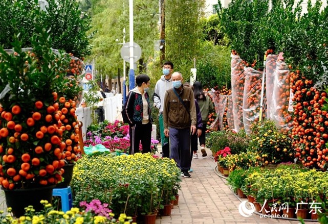 新春走基層丨廣州:買年花 迎虎年|馬曉楠|年桔|嶺南花卉市場