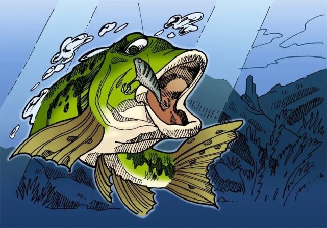 冬季路亚的三种技巧!