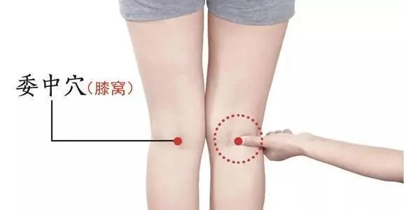 人体自带长寿窝常按压舒筋活络消除疾病