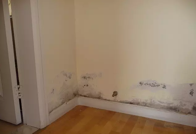 新家装修没多久墙面发霉脱落太难看知道了小窍门再也不用担心