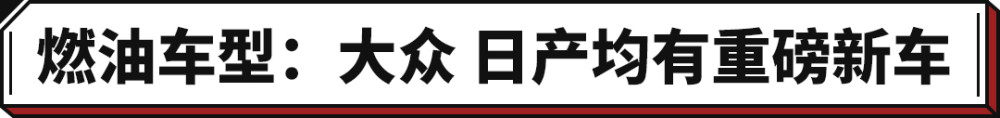 2021盘点：小米造车，孤注一掷华侨护照编号