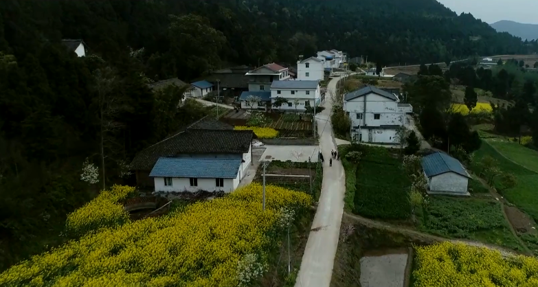 一声杨村一生老家广元这个地方一年四季风景如画