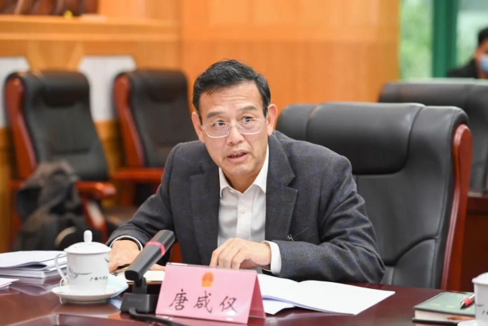 崇左市代表团认真审议自治区政府工作报告