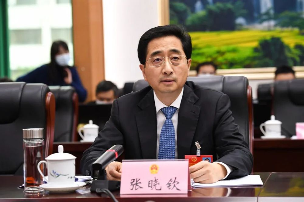 何文浩张晓钦黄海龙参加崇左市代表团审议自治区政府工作报告