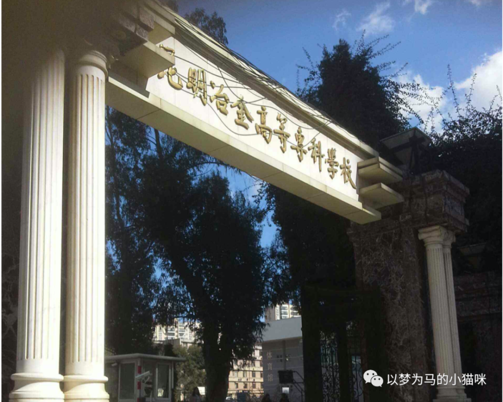 全国专科院校排行榜_2021全国专科学校排名出炉,深圳排名第一,杭州技术学院进入前十(2)