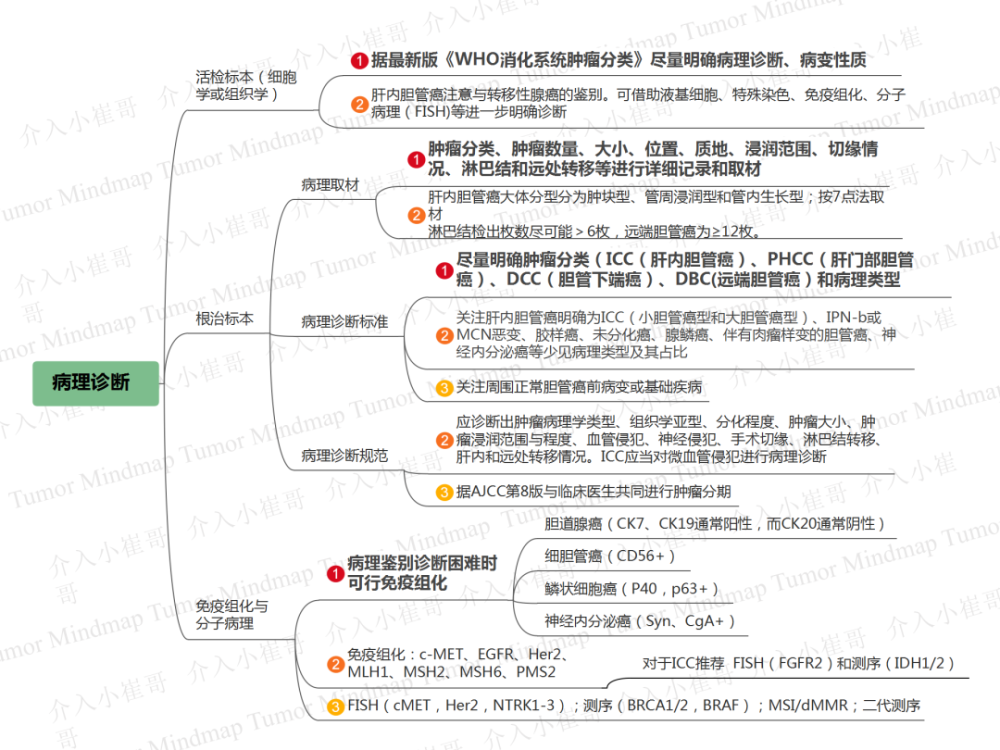 csco2021肿瘤思维导图39期丨胆管癌诊疗指南