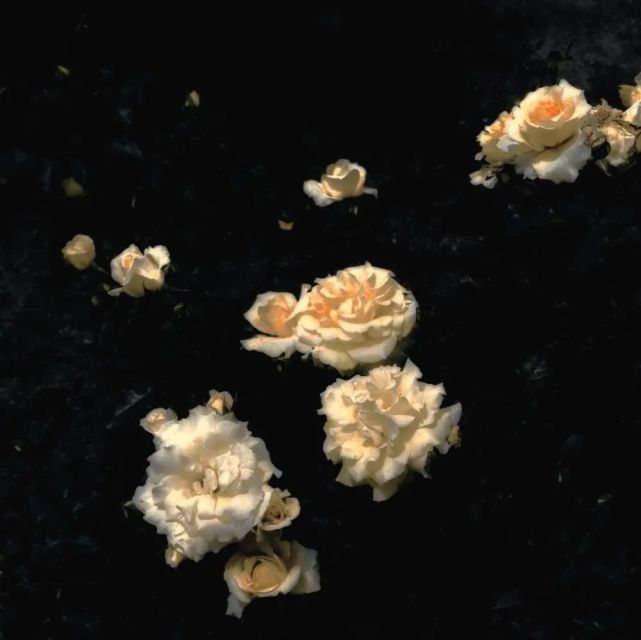 背景图|暗黑风格的丧系背景图