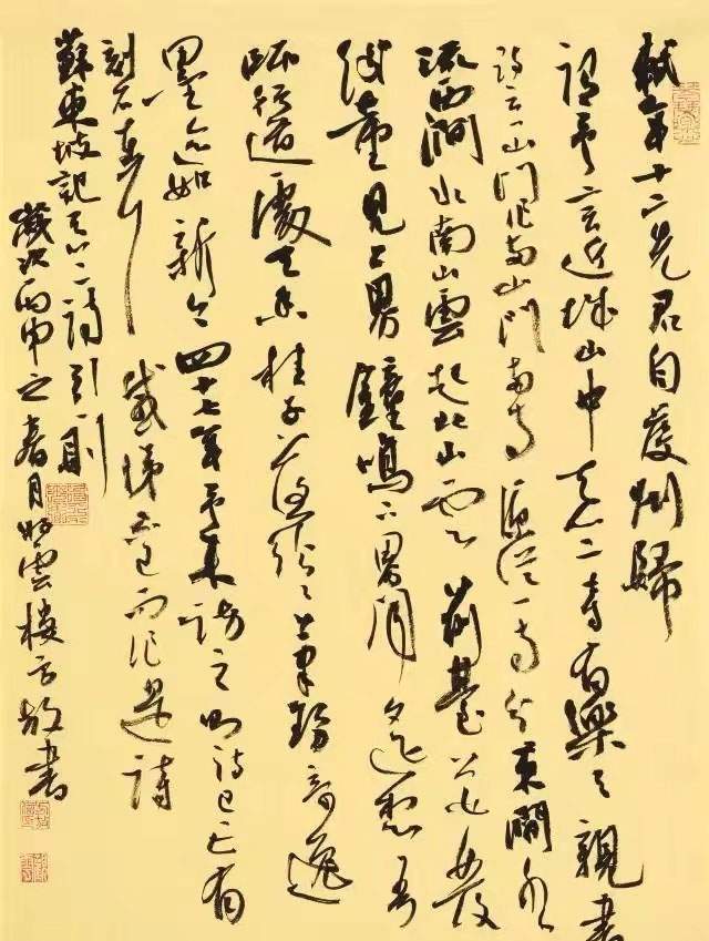 美女書法家方放,行草書真的美嗎?滿紙都是書協體,不可效仿