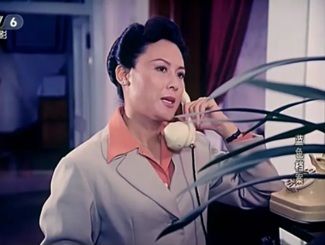 80年代谍战悬疑神作,最美女特工向梅,无法超越的《蓝色档案》