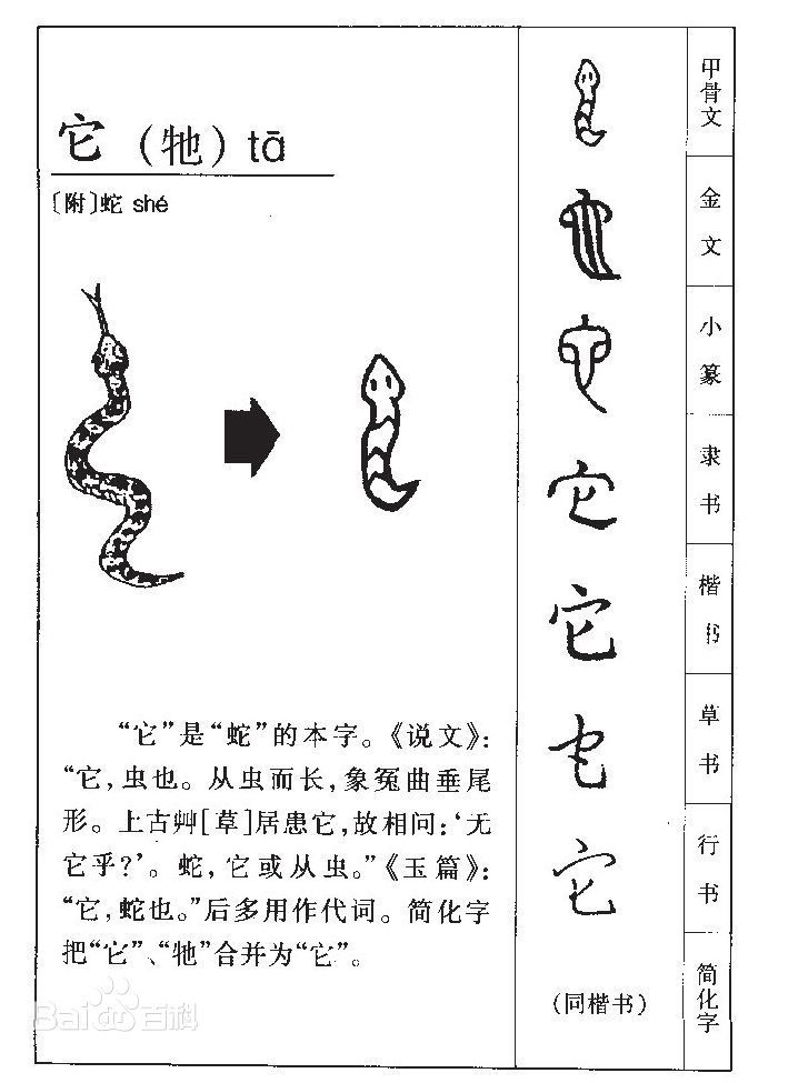 虫字的演变汉字图片
