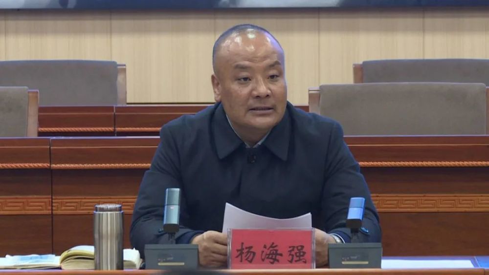 杨海强主持召开县政府党组党史学习教育专题民主生活会征求意见座谈会