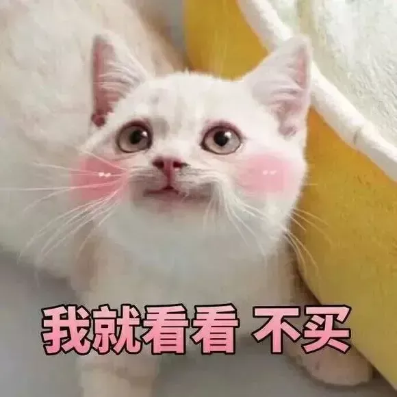 猫猫表情包我就看看不买