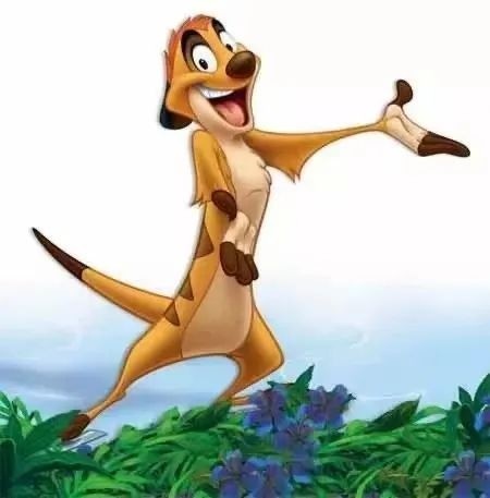 它是《狮子王》里"丁满"的原型有着媲美国宝大熊猫的黑眼圈号称"宇宙