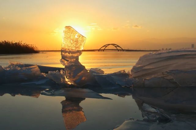 随手拍丨发现身边的美21