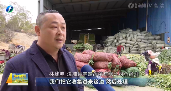 40到50吨的废弃葱尾一天可以收到在漳州漳浦县深土镇的一家公司里正是