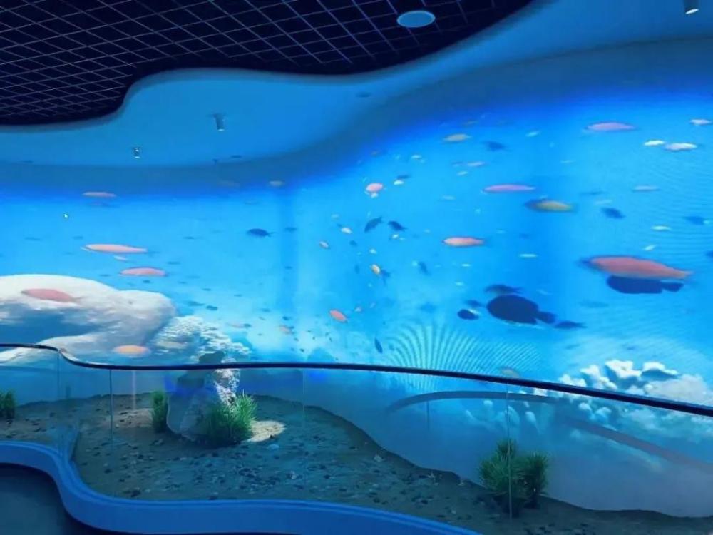 蛇口海洋科普馆恢复开放需48小时核酸阴性证明