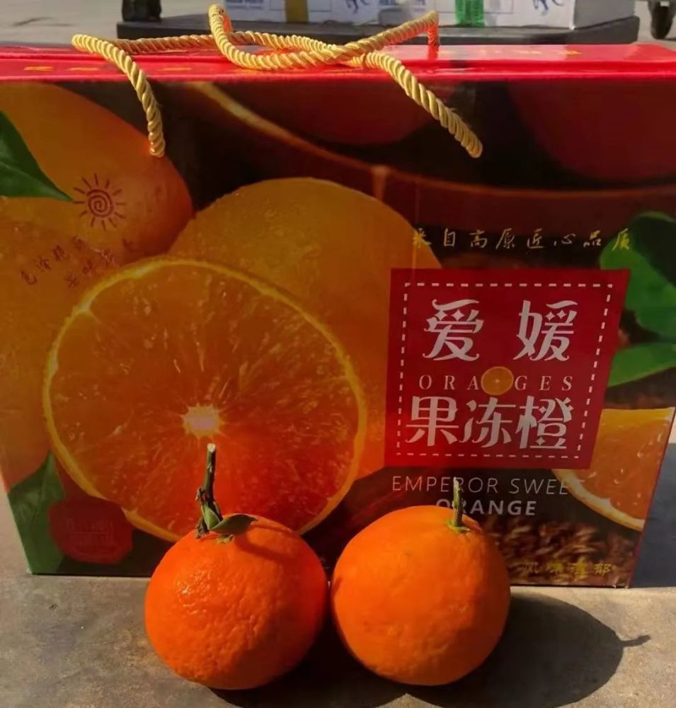 春见和红美人哪个好吃(春见好吃吗)