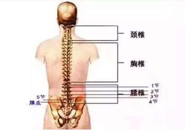 關於強直性脊柱炎的臨床問題彙總一