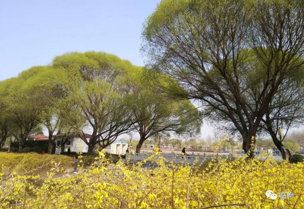 相思日暖和風煦,年豐頌歌留.紅門歡狗鬧,滿屋景花周.