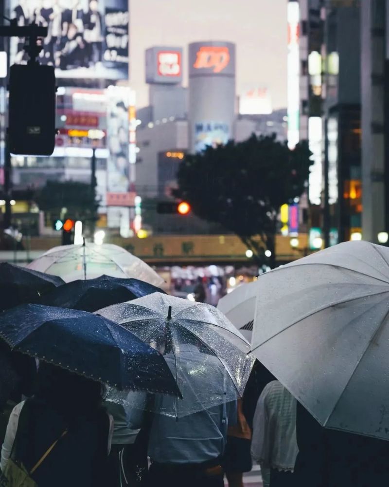 雨天這樣拍,照片會很美_騰訊新聞