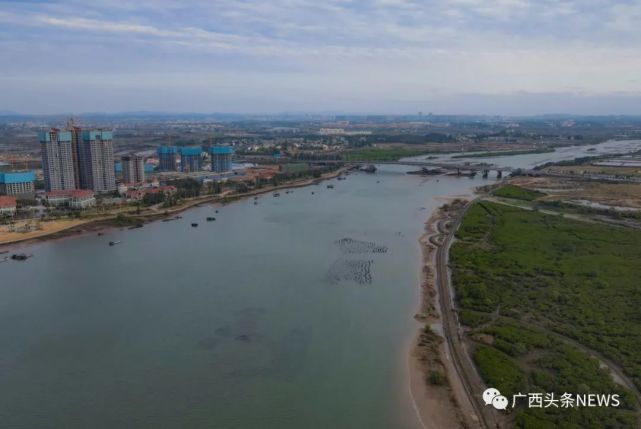 廣西|西部陸海新通道|欽州|平陸運河|陳冠言|北部灣