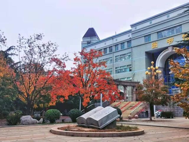 山东政法学院2021年省内各专业录取分数情况含位次