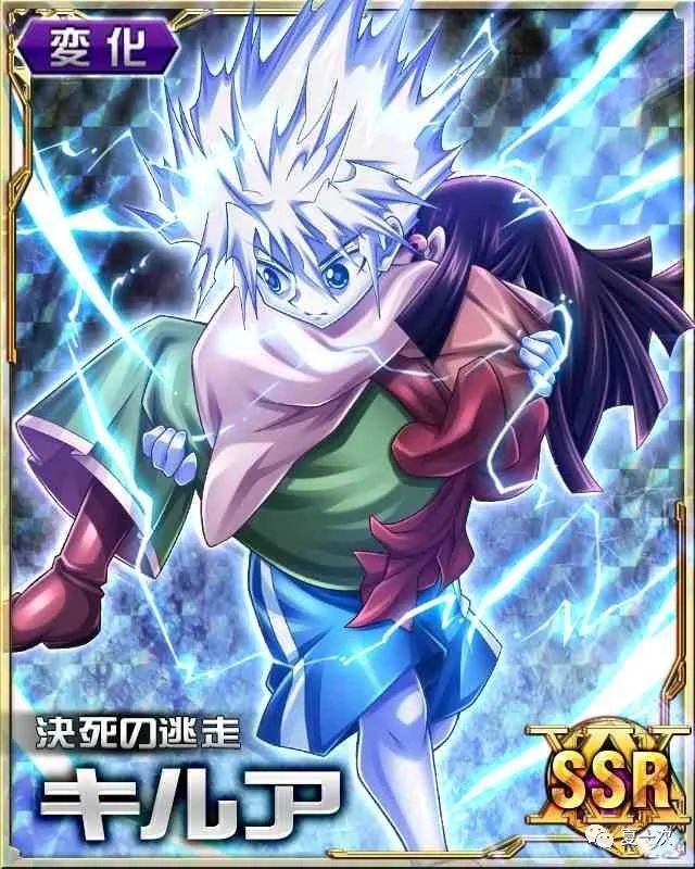 全职猎人卡片之亚路嘉揍敌客