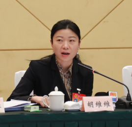 梁平代表团举行全体会议审议市人大常委会工作报告