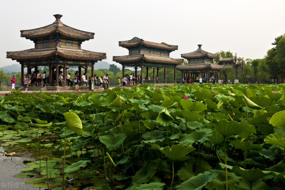 “中国园林之母”为何不是北京颐和园，也不是避暑山庄，而是……宁夏泾源县所有历届政协领导