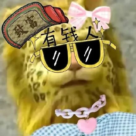 金钱暴富头像合集2022金钱豹头像
