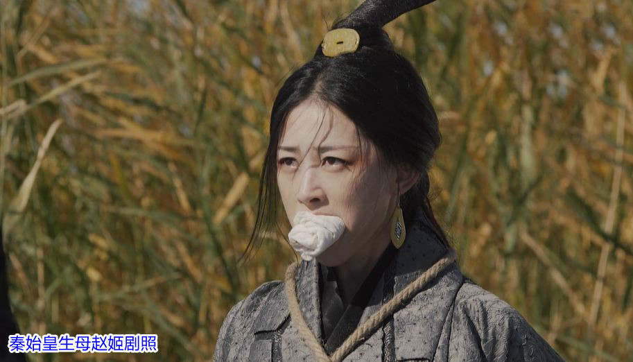 秦滅楚國時 王翦手握秦國60萬傾國之兵 為何卻不敢謀反 天天看點