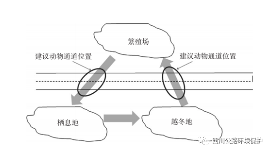 公路野生动物通道设置方法