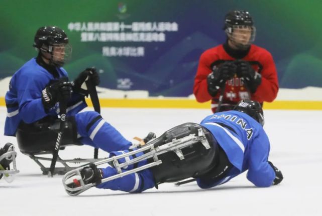 中国残奥冰球队:坐在冰橇上追光逐梦