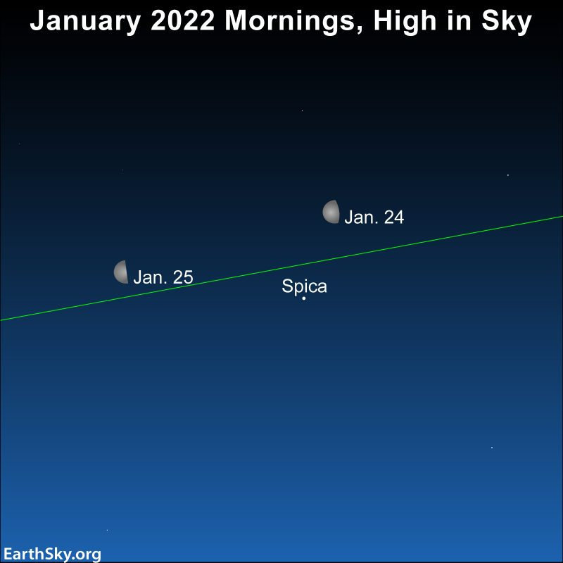 请定好闹钟 角宿一伴月来啦 就在本月底 天天看点