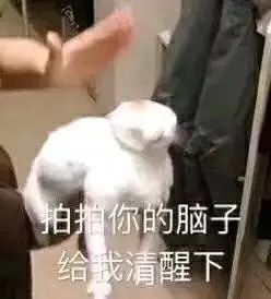 你清醒一點搞笑表情包