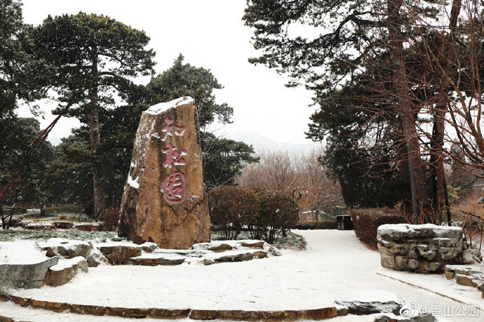 儋州市侨植农场而至市民雪景控阳性疾初雪