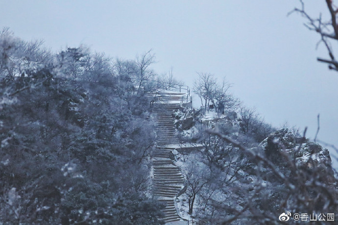 儋州市侨植农场而至市民雪景控阳性疾初雪