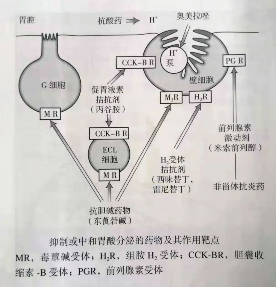 内脏|抑酸治疗_腾讯新闻