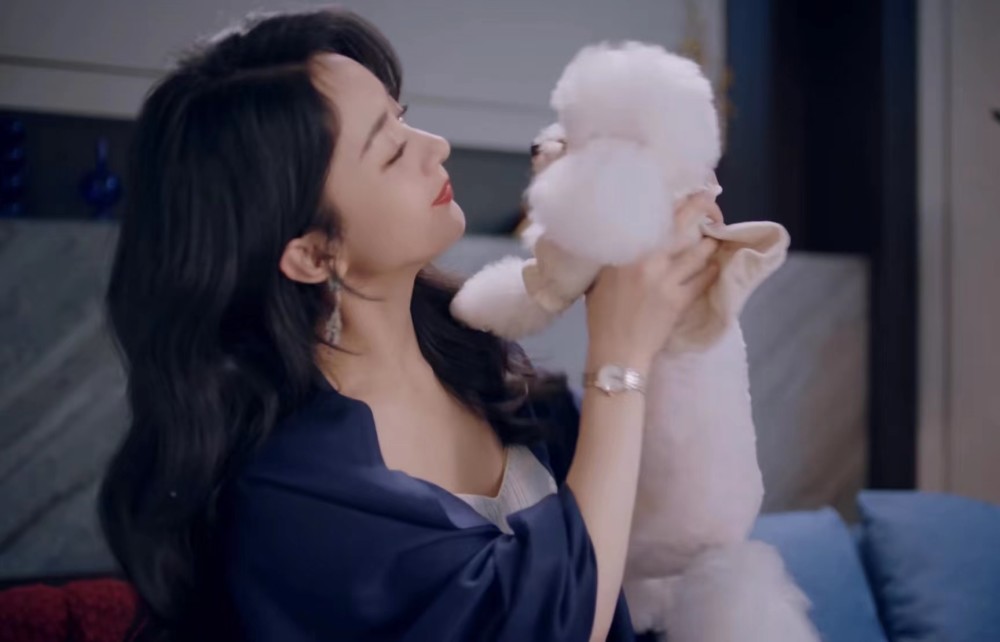 赵丽颖更新视频下班给工作人员发红包回家抱爱犬自拍太治愈